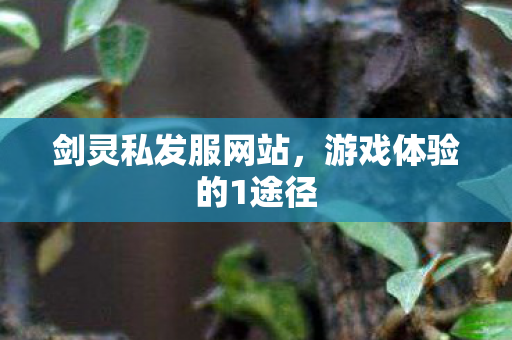 剑灵私发服网站，游戏体验的1途径