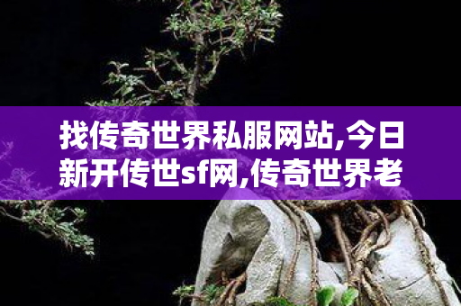 找传奇世界私服网站,今日新开传世sf网,传奇世界老版本下载,今日新开传世sf网