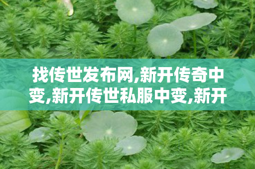找传世发布网,新开传奇中变,新开传世私服中变,新开传奇中变
