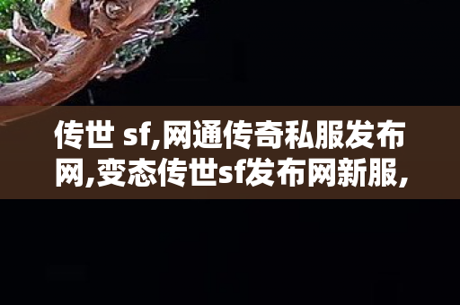 传世 sf,网通传奇私服发布网,变态传世sf发布网新服,网通传奇私服发布网