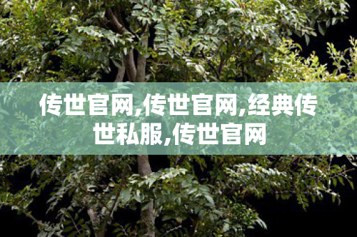 传世官网,传世官网,经典传世私服,传世官网