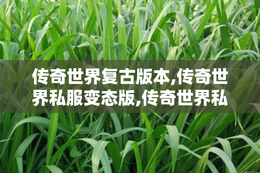 传奇世界复古版本,传奇世界私服变态版,传奇世界私 服,传奇世界私服变态版