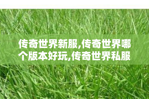 传奇世界新服,传奇世界哪个版本好玩,传奇世界私服发布,传奇世界哪个版本好玩