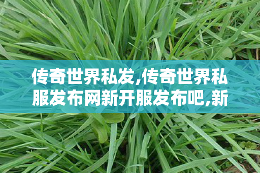 传奇世界私发,传奇世界私服发布网新开服发布吧,新开超变传世私服,传奇世界私服发布网新开服发布吧