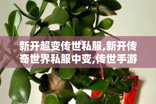 新开超变传世私服,新开传奇世界私服中变,传世手游sf,新开传奇世界私服中变