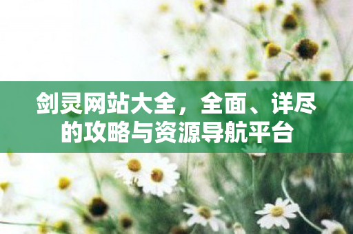 剑灵网站大全，全面、详尽的攻略与资源导航平台