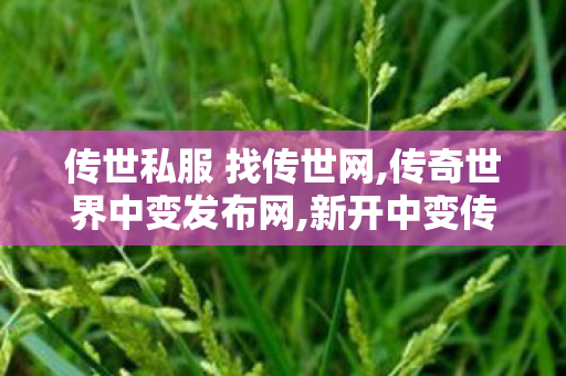 传世私服 找传世网,传奇世界中变发布网,新开中变传奇发布网,传奇世界中变发布网