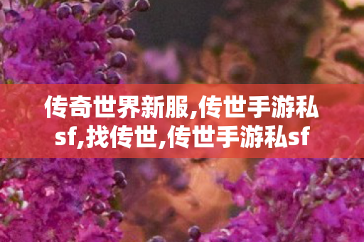 传奇世界新服,传世手游私sf,找传世,传世手游私sf