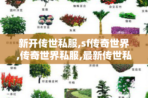 新开传世私服,sf传奇世界,传奇世界私服,最新传世私服,sf传奇世界