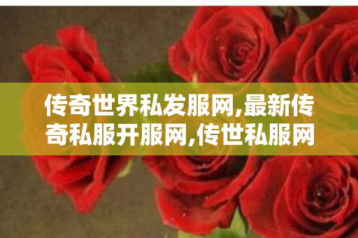 传奇世界私发服网,最新传奇私服开服网,传世私服网,最新传奇私服开服网