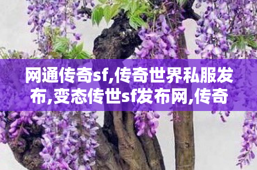 网通传奇sf,传奇世界私服发布,变态传世sf发布网,传奇世界私服发布