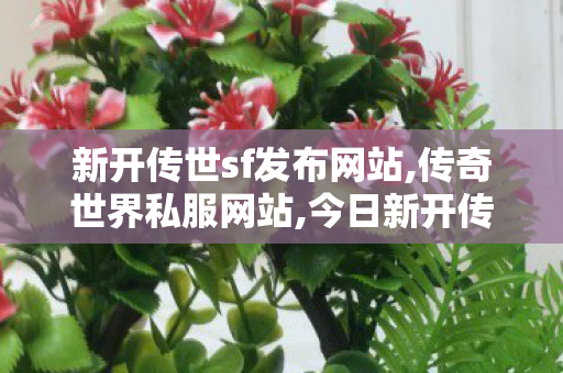 新开传世sf发布网站,传奇世界私服网站,今日新开传奇世界私服网站,传奇世界私服网站