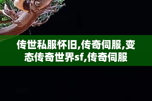 传世私服怀旧,传奇伺服,变态传奇世界sf,传奇伺服
