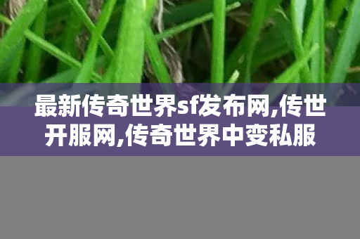 最新传奇世界sf发布网,传世开服网,传奇世界中变私服,传世开服网
