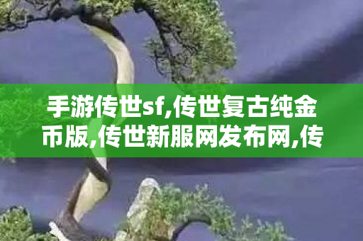 手游传世sf,传世复古纯金币版,传世新服网发布网,传世复古纯金币版