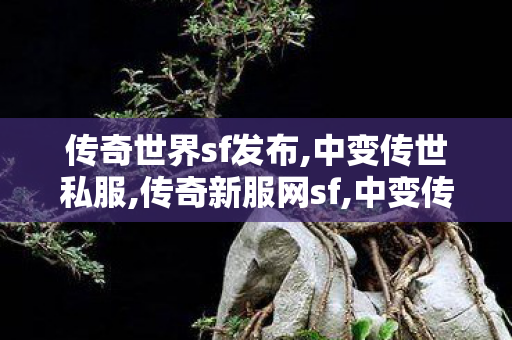 传奇世界sf发布,中变传世私服,传奇新服网sf,中变传世私服