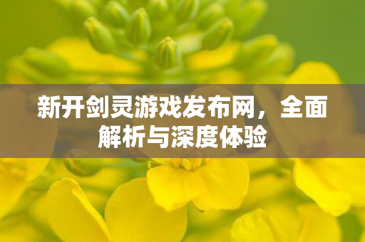 新开剑灵游戏发布网，全面解析与深度体验
