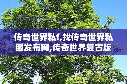 传奇世界私f,找传奇世界私服发布网,传奇世界复古版本攻略,找传奇世界私服发布网