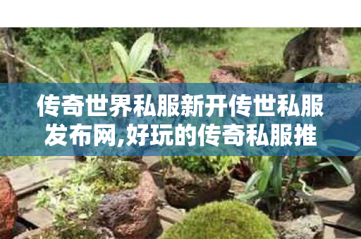传奇世界私服新开传世私服发布网,好玩的传奇私服推荐,新开传世sf发布,好玩的传奇私服推荐
