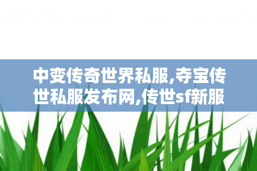 中变传奇世界私服,夺宝传世私服发布网,传世sf新服,夺宝传世私服发布网