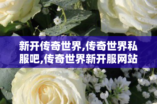 新开传奇世界,传奇世界私服吧,传奇世界新开服网站,传奇世界私服吧