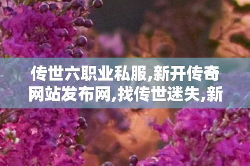 传世六职业私服,新开传奇网站发布网,找传世迷失,新开传奇网站发布网