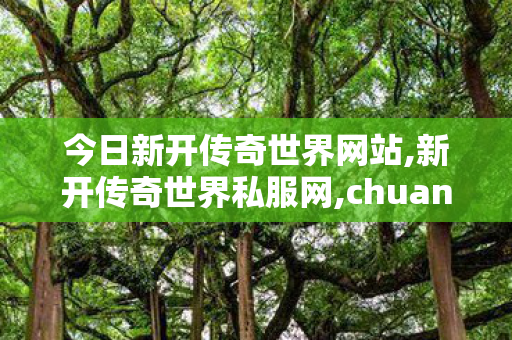 今日新开传奇世界网站,新开传奇世界私服网,chuanshisifu,新开传奇世界私服网