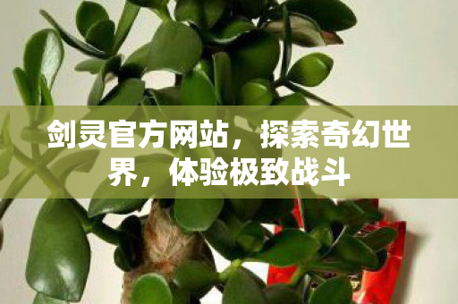剑灵官方网站，探索奇幻世界，体验极致战斗