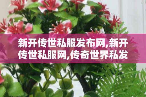 新开传世私服发布网,新开传世私服网,传奇世界私发服网,新开传世私服网