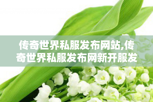 传奇世界私服发布网站,传奇世界私服发布网新开服发布吧,网通传奇发布网,传奇世界私服发布网新开服发布吧