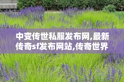 中变传世私服发布网,最新传奇sf发布网站,传奇世界sf发布网0,最新传奇sf发布网站