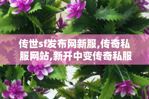 传世sf发布网新服,传奇私 服网站,新开中变传奇私服发布网,传奇私 服网站