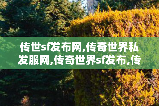 传世sf发布网,传奇世界私发服网,传奇世界sf发布,传奇世界私发服网