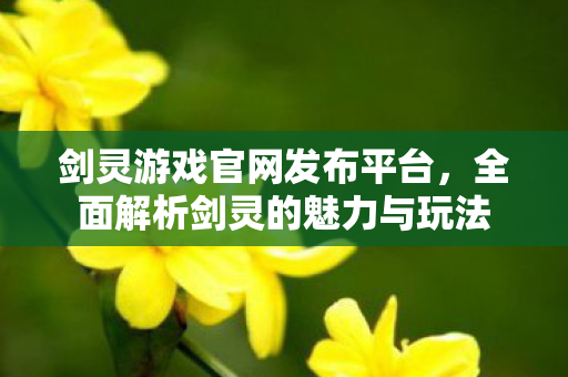 剑灵游戏官网发布平台，全面解析剑灵的魅力与玩法