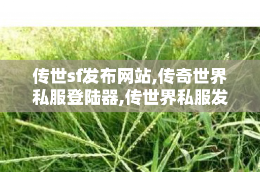 传世sf发布网站,传奇世界私服登陆器,传世界私服发布网,传奇世界私服登陆器