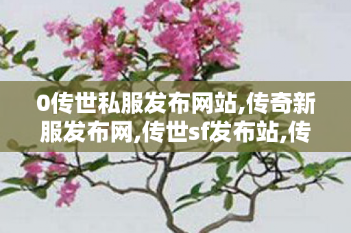 0传世私服发布网站,传奇新服发布网,传世sf发布站,传奇新服发布网