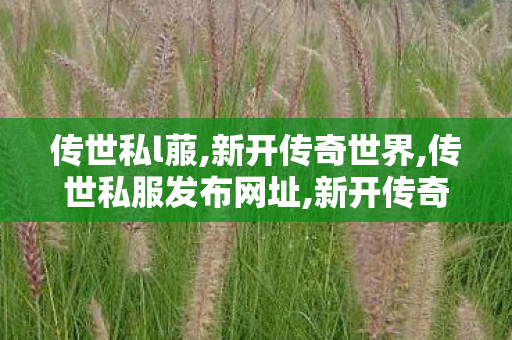 传世私l菔,新开传奇世界,传世私服发布网址,新开传奇世界