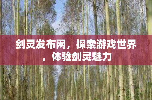 剑灵发布网，探索游戏世界，体验剑灵魅力