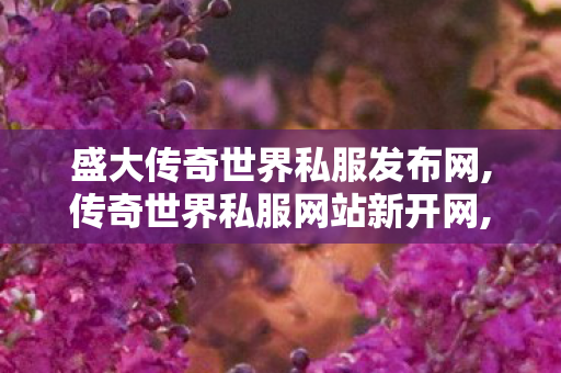 盛大传奇世界私服发布网,传奇世界私服网站新开网,找传奇世界私服的网站,传奇世界私服网站新开网
