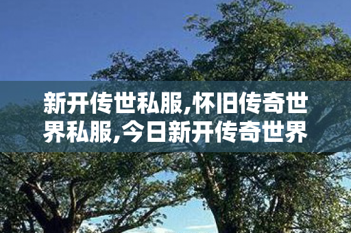 新开传世私服,怀旧传奇世界私服,今日新开传奇世界私发服网,怀旧传奇世界私服