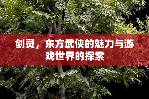 剑灵，东方武侠的魅力与游戏世界的探索