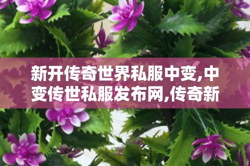 新开传奇世界私服中变,中变传世私服发布网,传奇新服网,中变传世私服发布网