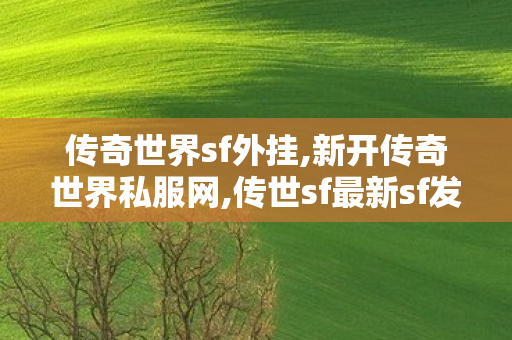 传奇世界sf外挂,新开传奇世界私服网,传世sf最新sf发布网,新开传奇世界私服网