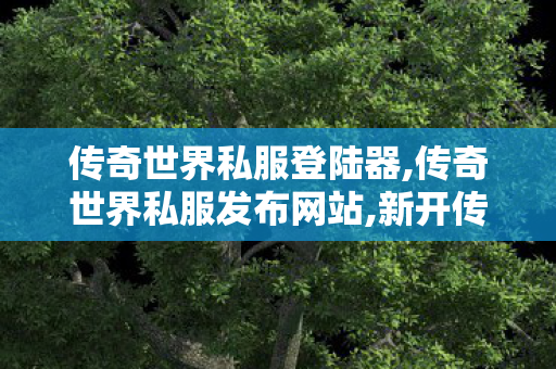 传奇世界私服登陆器,传奇世界私服发布网站,新开传世私服开服表,传奇世界私服发布网站