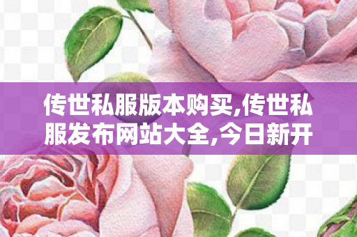 传世私服版本购买,传世私服发布网站大全,今日新开传世发布网站,传世私服发布网站大全