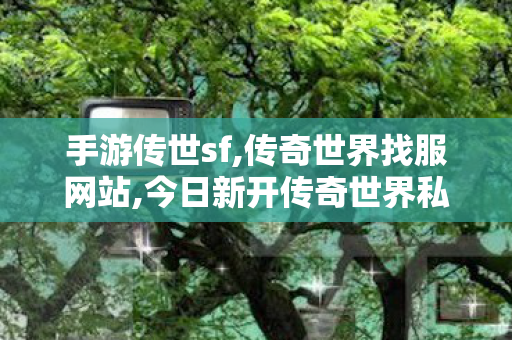 手游传世sf,传奇世界找服网站,今日新开传奇世界私服网站,传奇世界找服网站