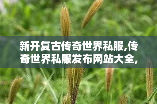 新开复古传奇世界私服,传奇世界私服发布网站大全,传奇世界新开网站轻变,传奇世界私服发布网站大全