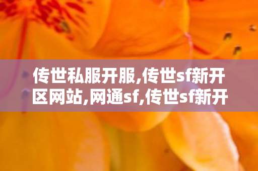 传世私服开服,传世sf新开区网站,网通sf,传世sf新开区网站