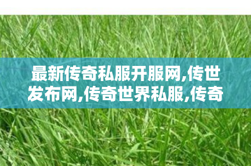 最新传奇私服开服网,传世发布网,传奇世界私服,传奇世界sf发布网,传世发布网