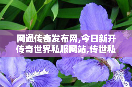 网通传奇发布网,今日新开传奇世界私服网站,传世私服,今日新开传奇世界私服网站